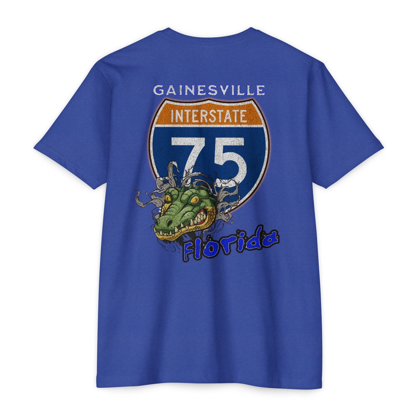 Interstate 75 Gainesville Florida Design