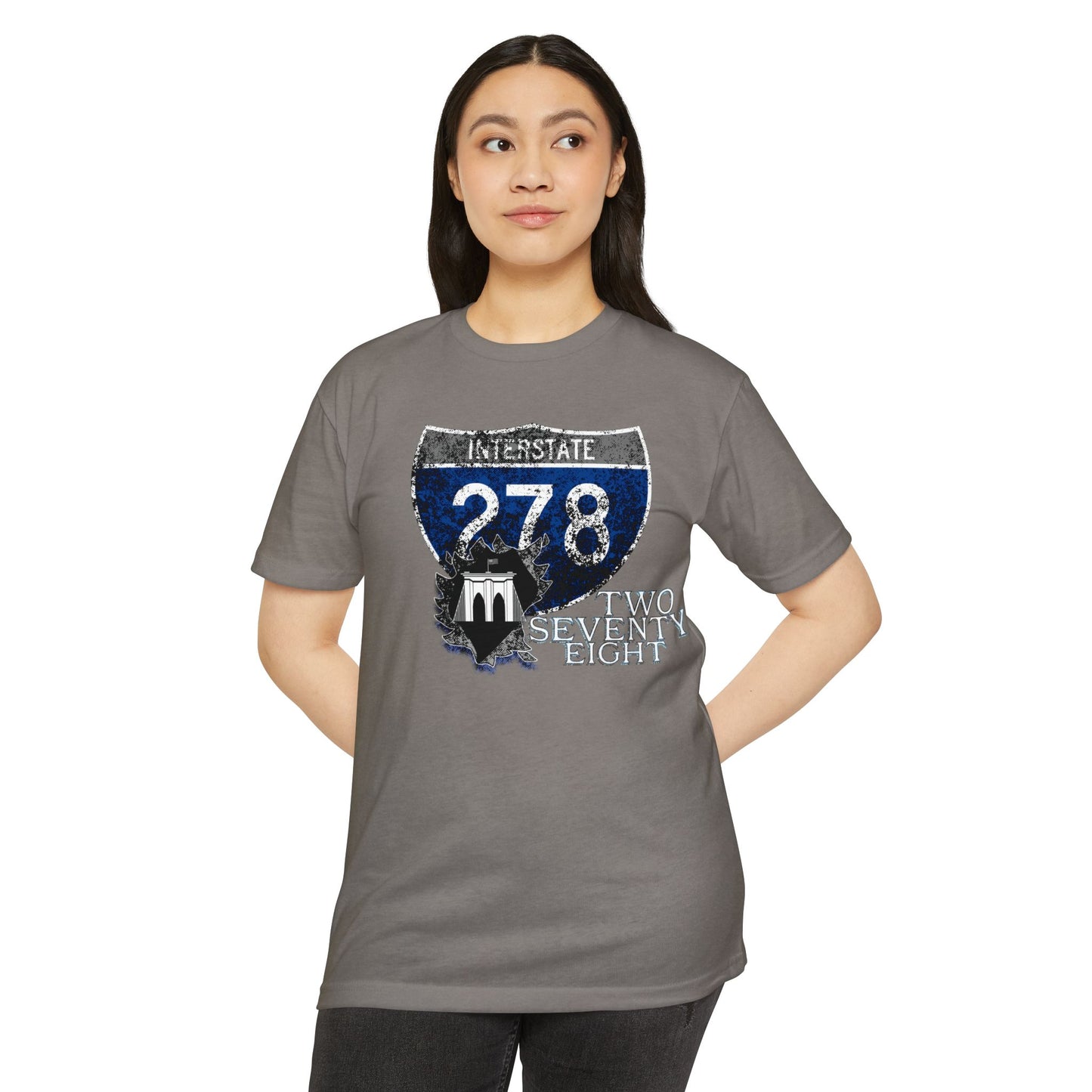 Interstate 278 Pothole City
