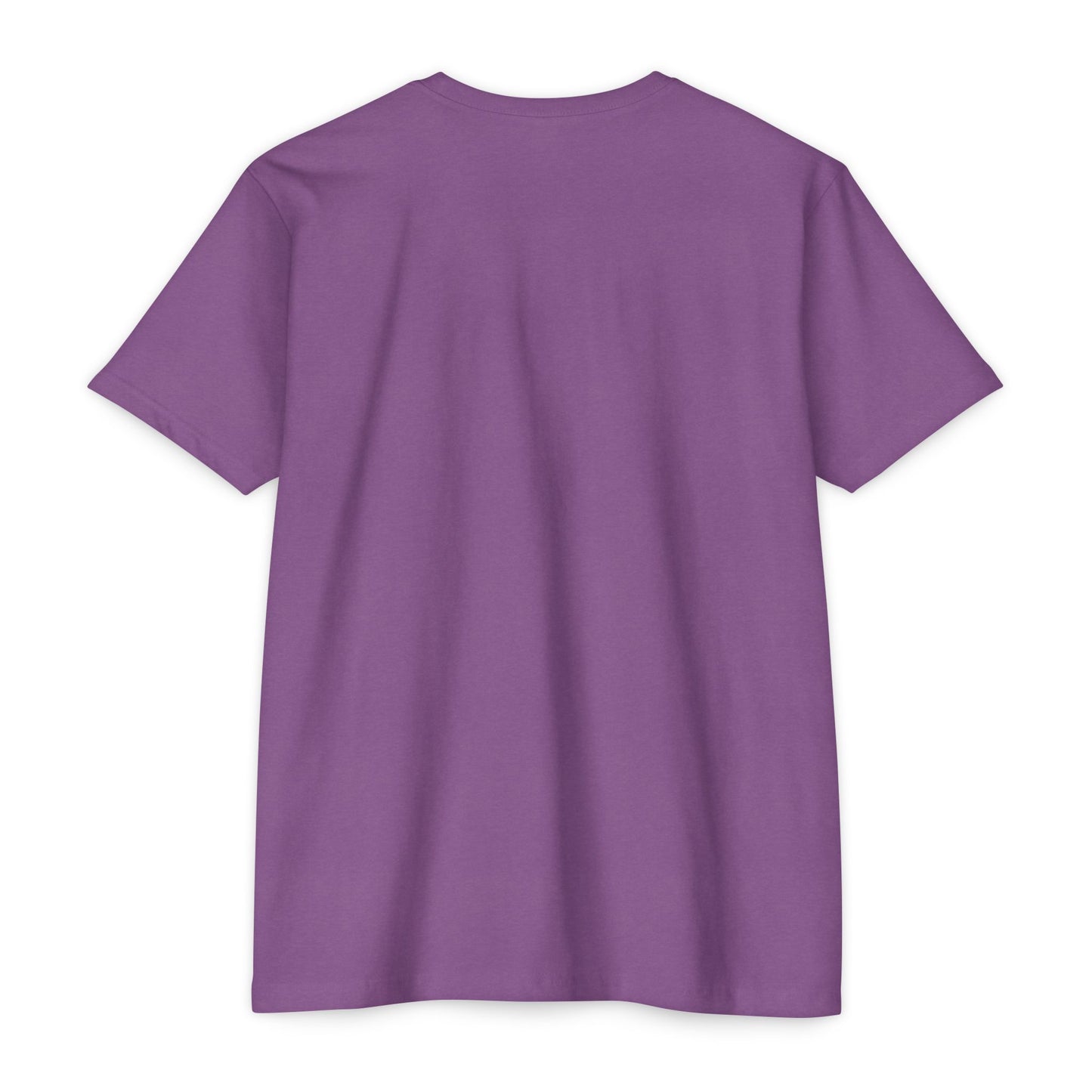 Interstate 20 Cowgirl Road Trip T-shirt