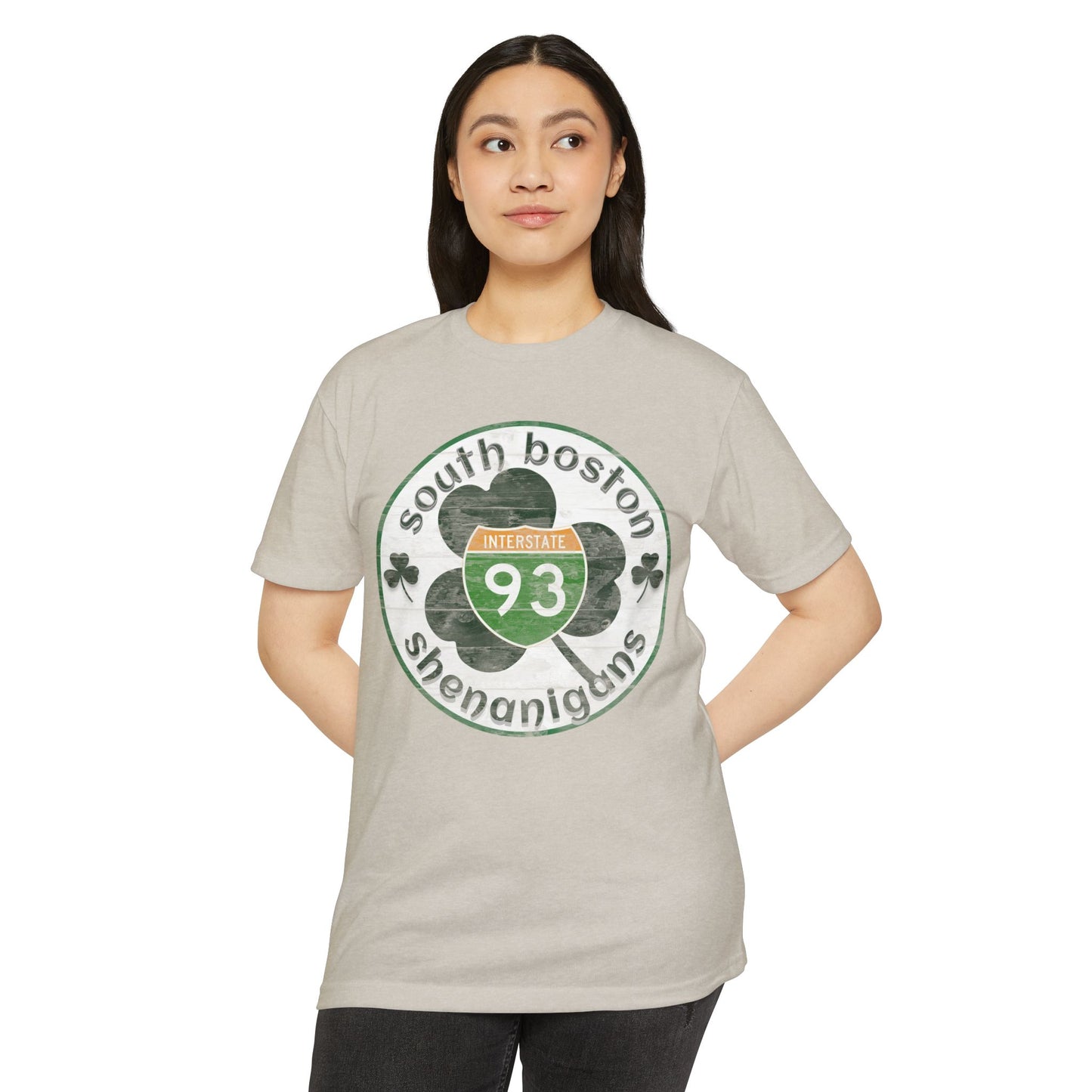 Southie Interstate 93 Boston