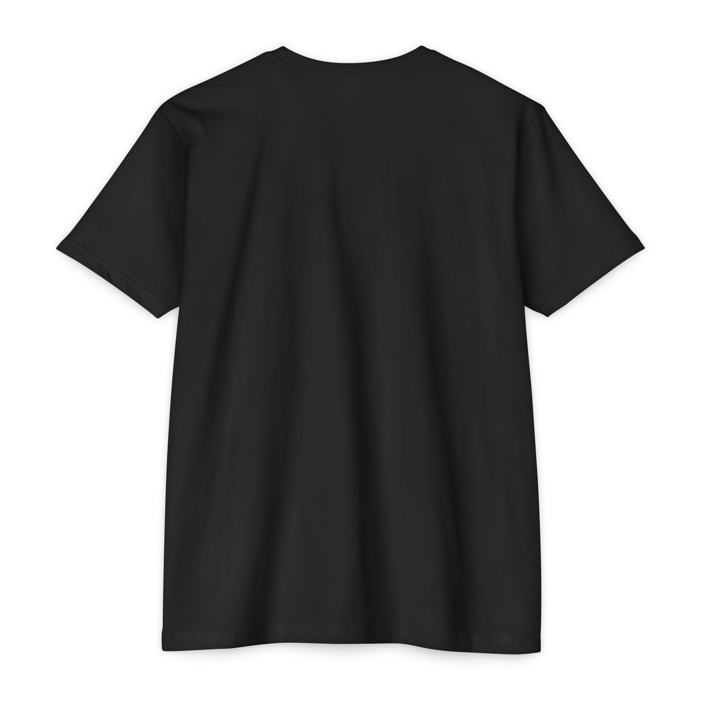 Dan Ryan Expressway Chicago Road Trip T-Shirt