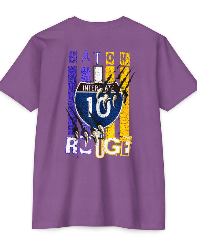 Interstate 10 Baton Rouge Louisiana Tiger Country Design