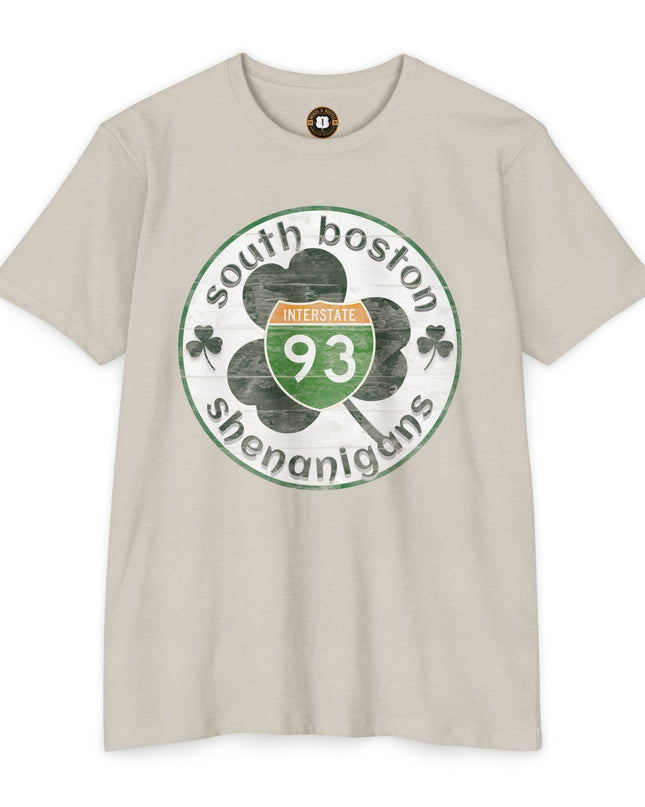 Southie Interstate 93  Boston