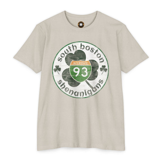 Southie Interstate 93  Boston