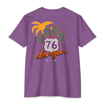 Route 76, Clemson, South Carolina Tiger Country