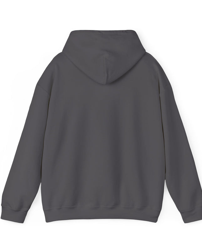Hooded Sweatshirt Nashville Highway Route 24 Road Trip Soft Blend Apparel - Roads and Routes Apparel