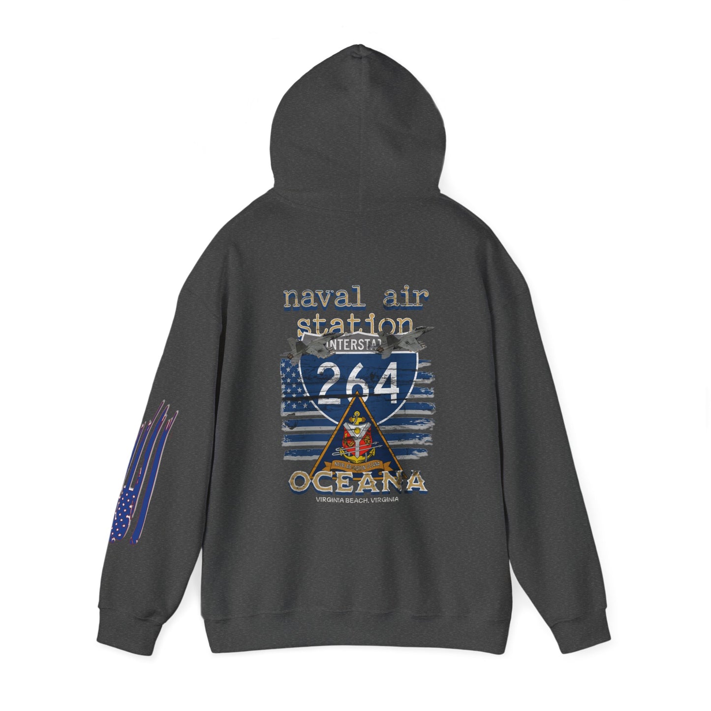 Naval Air Station Oceana Virginia Beach Hoodie