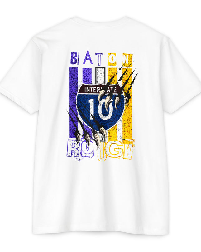 Interstate 10 Baton Rouge Louisiana Tiger Country Design
