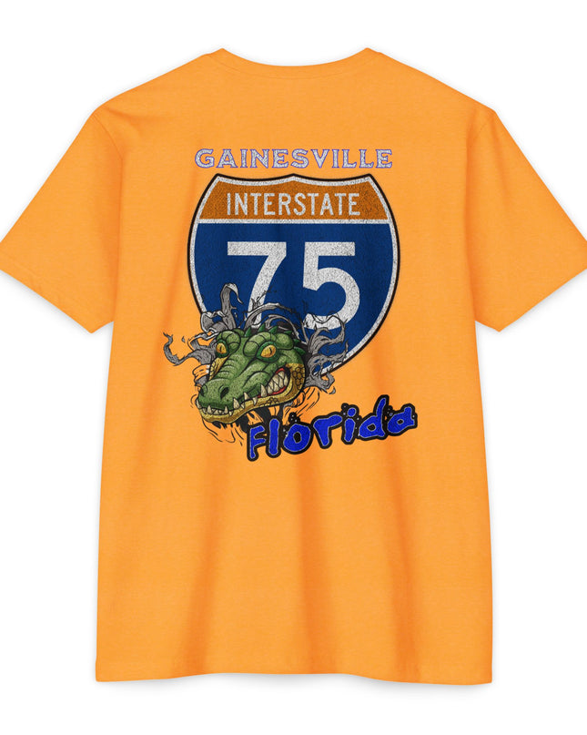 Interstate 75 Gainesville Florida Design