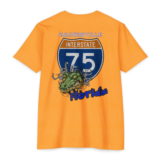 Interstate 75 Gainesville Florida Design