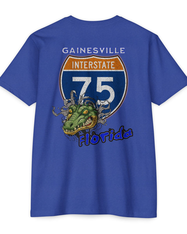 Interstate 75 Gainesville Florida Design
