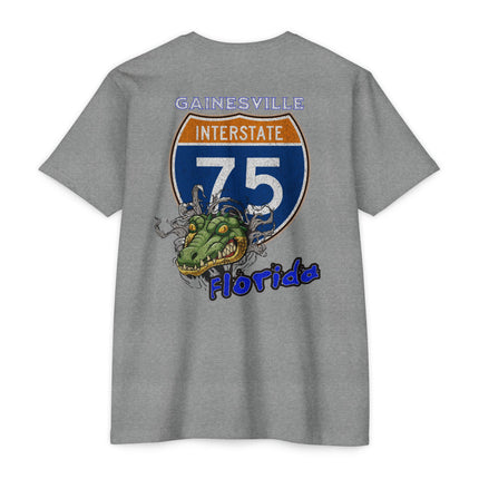Interstate 75 Gainesville Florida Design