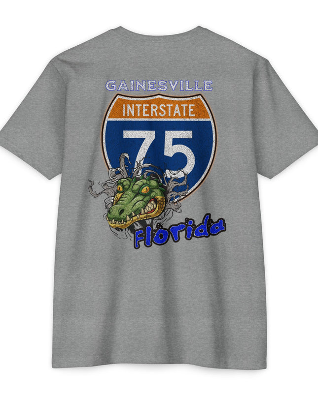 Interstate 75 Gainesville Florida Design