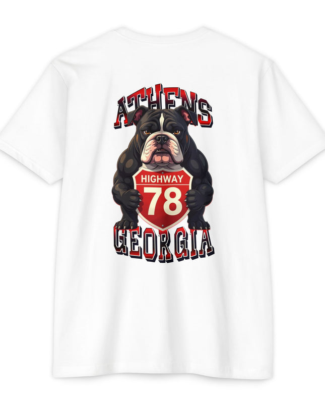 Athens Georgia Route 78 Bulldog Country