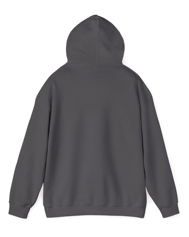 Hooded Sweatshirt Nashville Highway Route 24 Road Trip Soft Blend Apparel