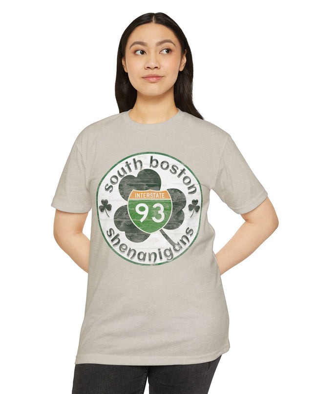 Southie Interstate 93  Boston