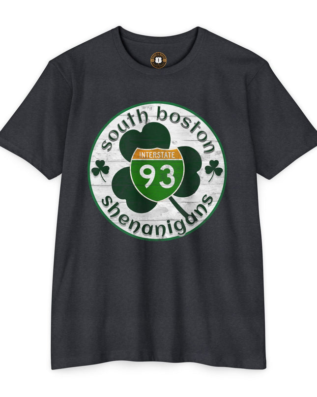 Southie Interstate 93  Boston