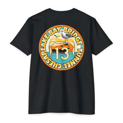 Chesapeake Bay Bridge Tunnel T-shirt