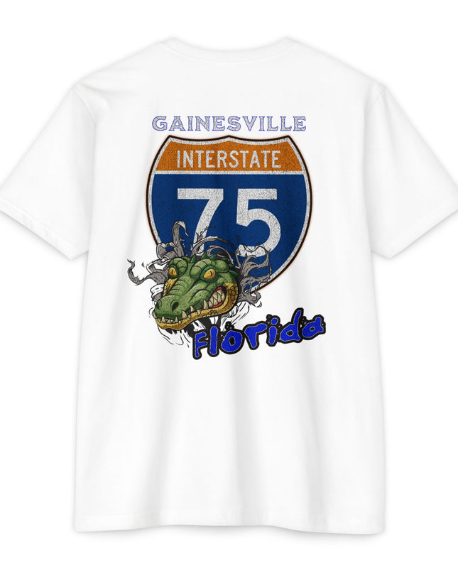 Interstate 75 Gainesville Florida Design