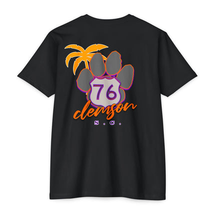 Route 76, Clemson, South Carolina Tiger Country