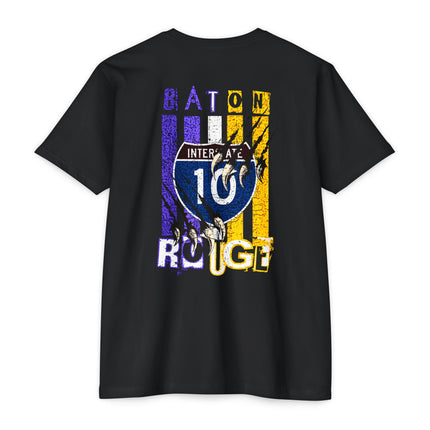 Interstate 10 Baton Rouge Louisiana Tiger Country Design