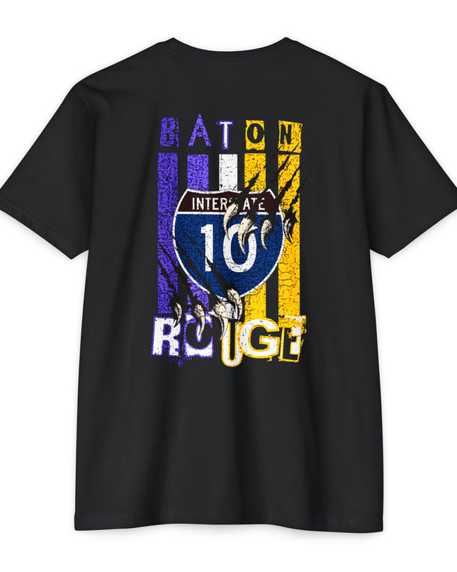 Interstate 10 Baton Rouge Louisiana Tiger Country Design