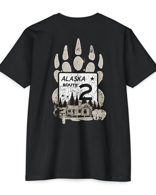 Alaska's Route 2 Wilderness Coldness Loneliness Darkness
